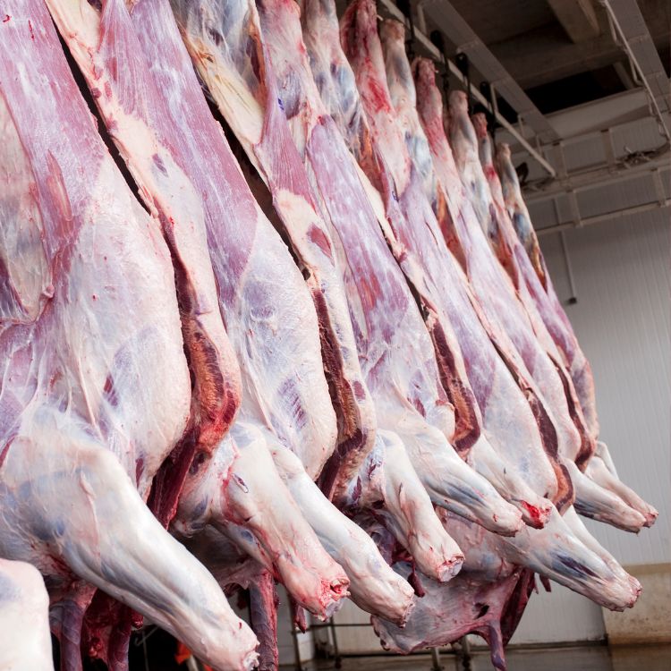 Goat Mixed Meat (2 lbs)